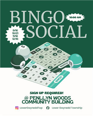 Bingo Social