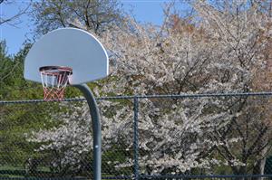 Pen Ambler Basketball Court